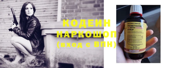 ГАЛЛЮЦИНОГЕННЫЕ ГРИБЫ Тайга