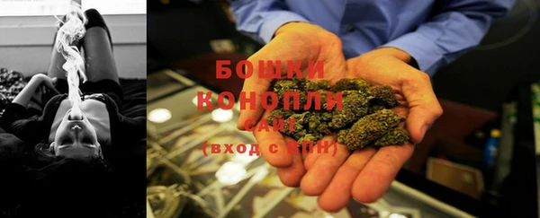 крисы Верея