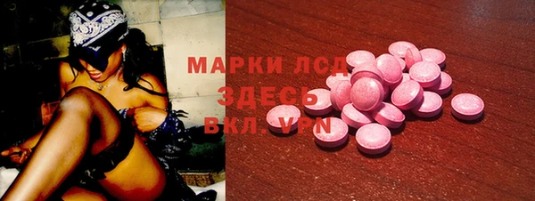 крисы Верея
