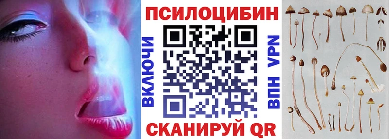 блэк спрут маркетплейс  Первомайск  Псилоцибиновые грибы MAGIC MUSHROOMS  что такое  